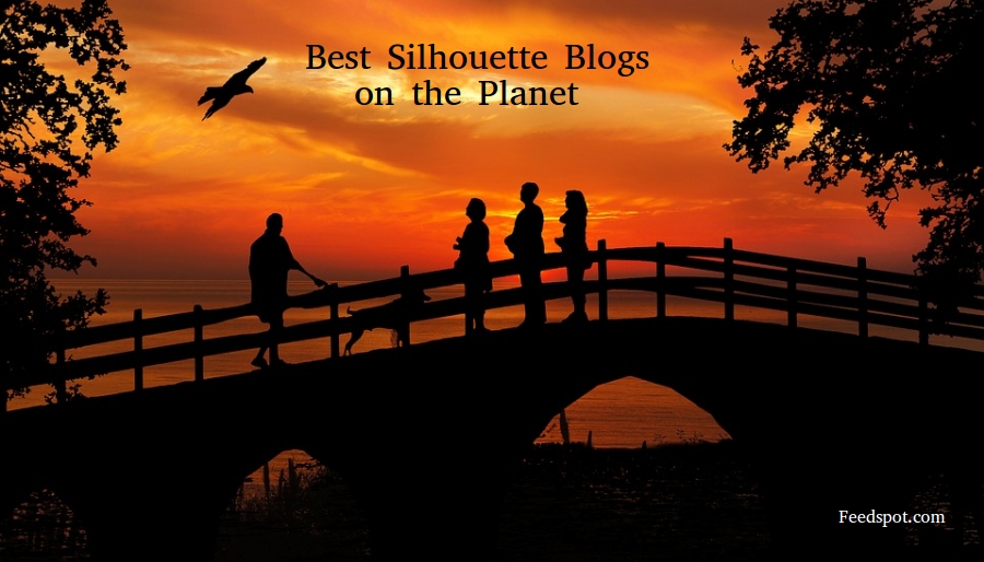 30 Best Silhouette Blogs and Websites To Follow in 2024